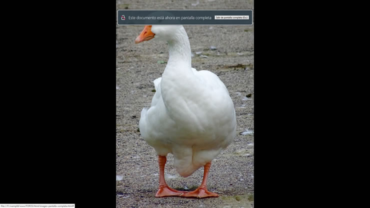 Mostrar imagen a pantalla completa con un FullScreen de JavaScript